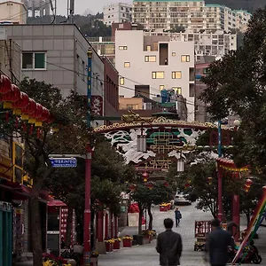 Catnap Busan